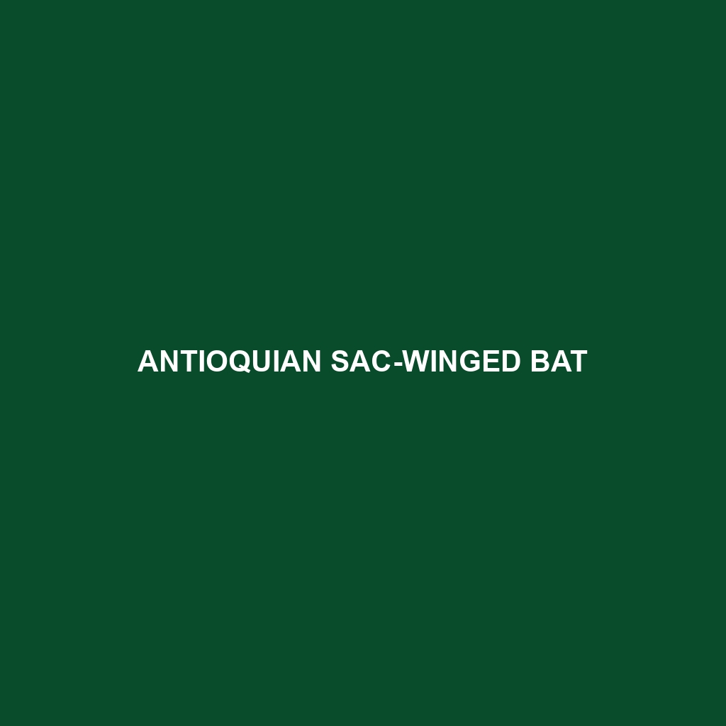 Antioquian Sac-winged Bat