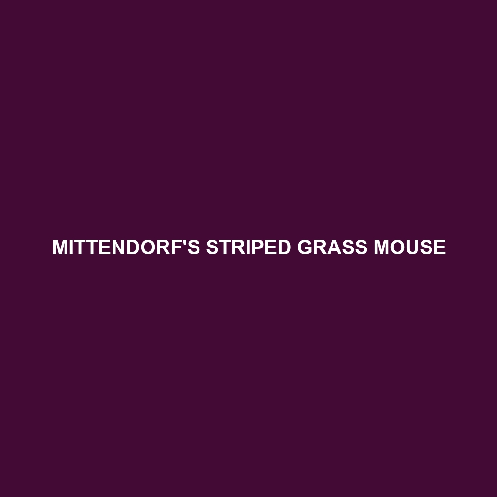 Mittendorf's Striped Grass Mouse