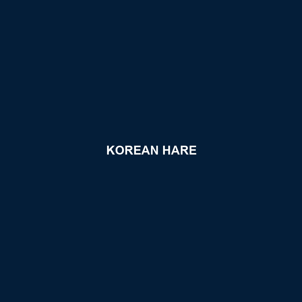 Korean Hare