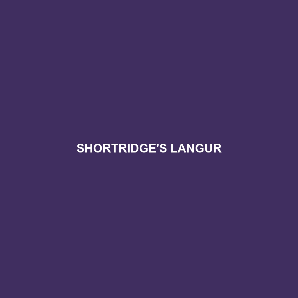 Shortridge's Langur