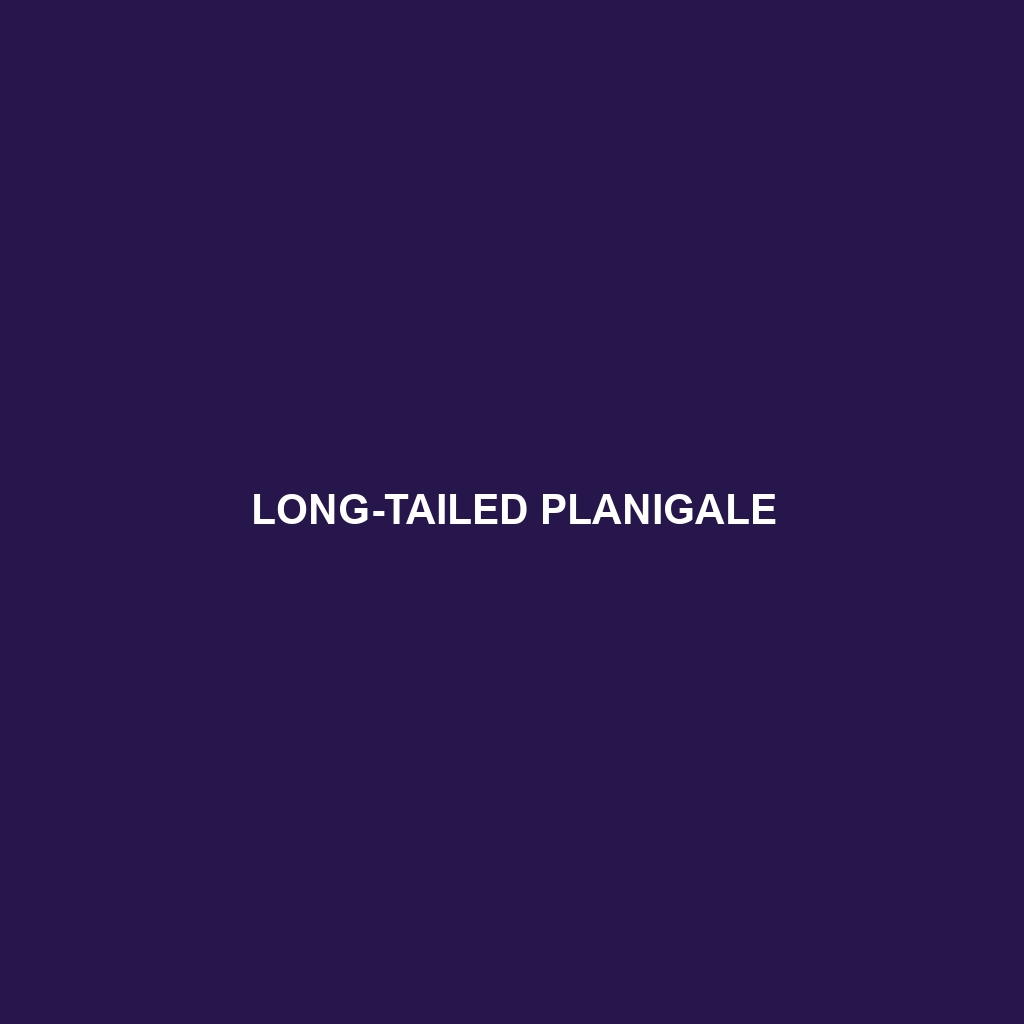 Long-tailed Planigale