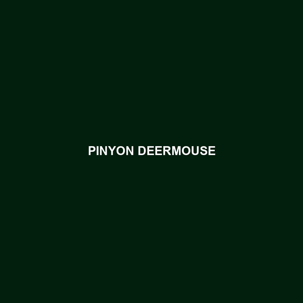 Pinyon Deermouse