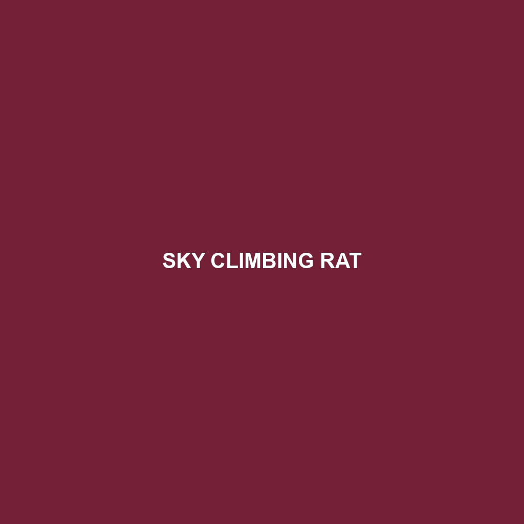 Sky Climbing Rat