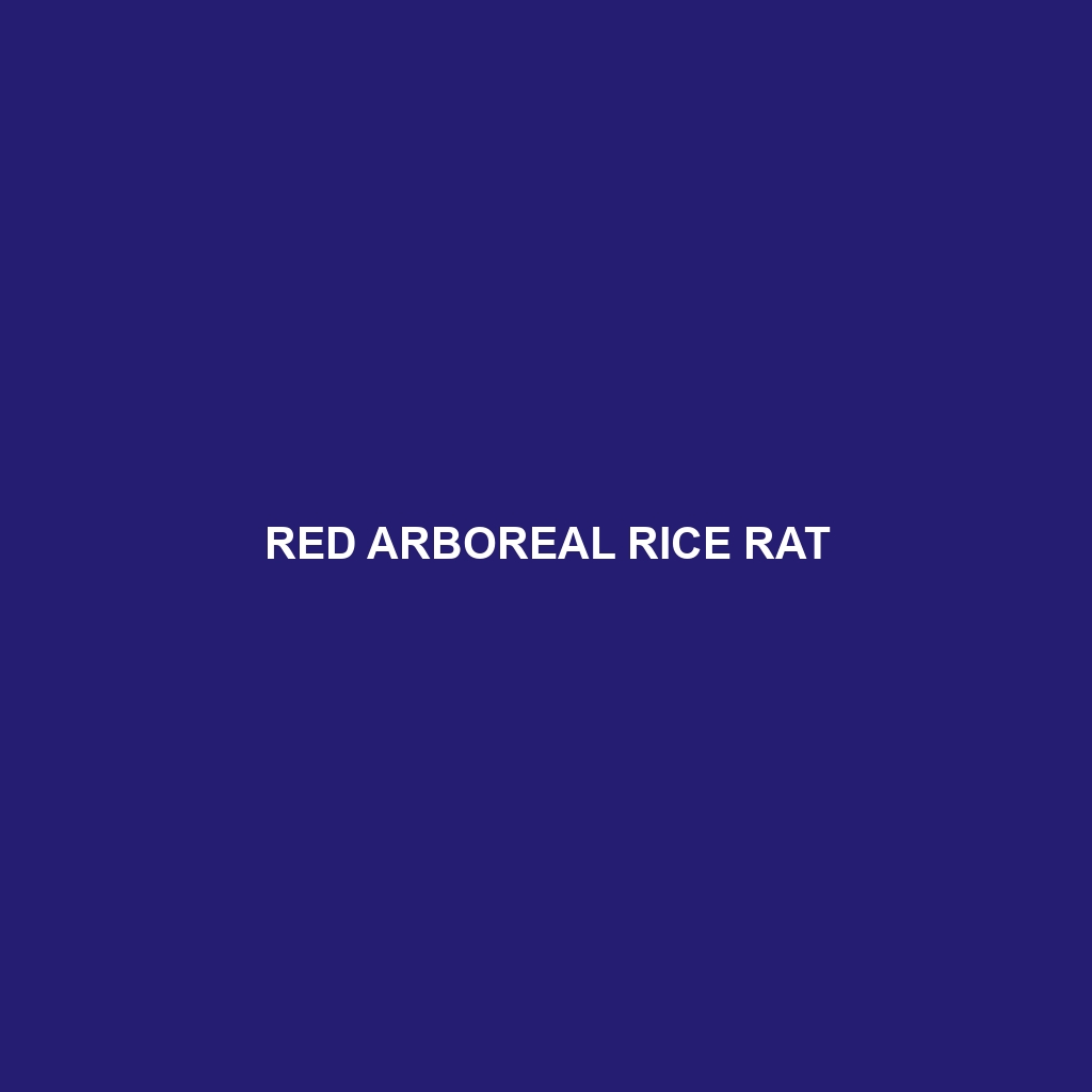 Red Arboreal Rice Rat