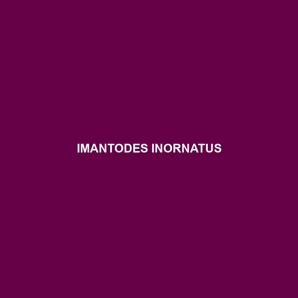 Imantodes inornatus