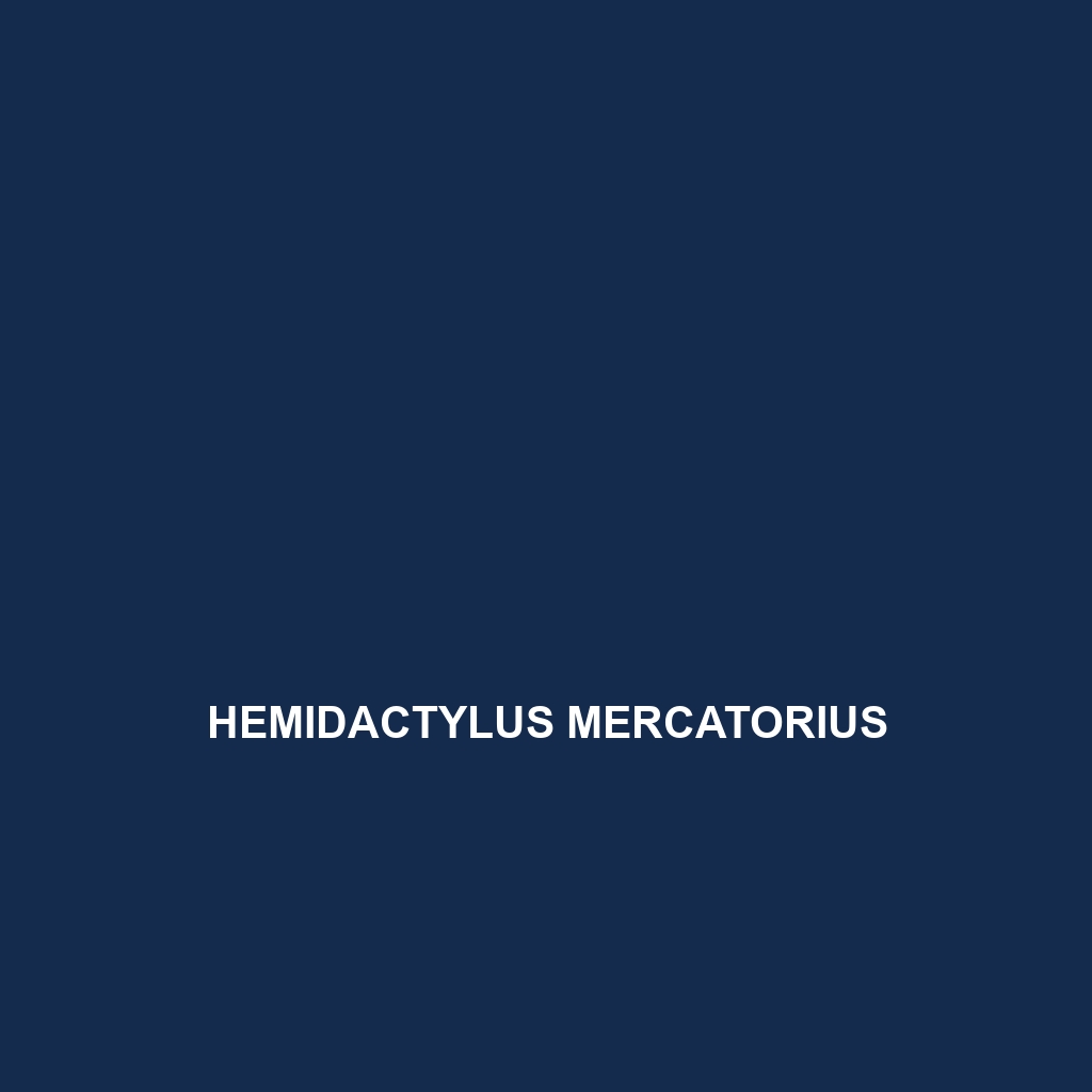 Hemidactylus mercatorius