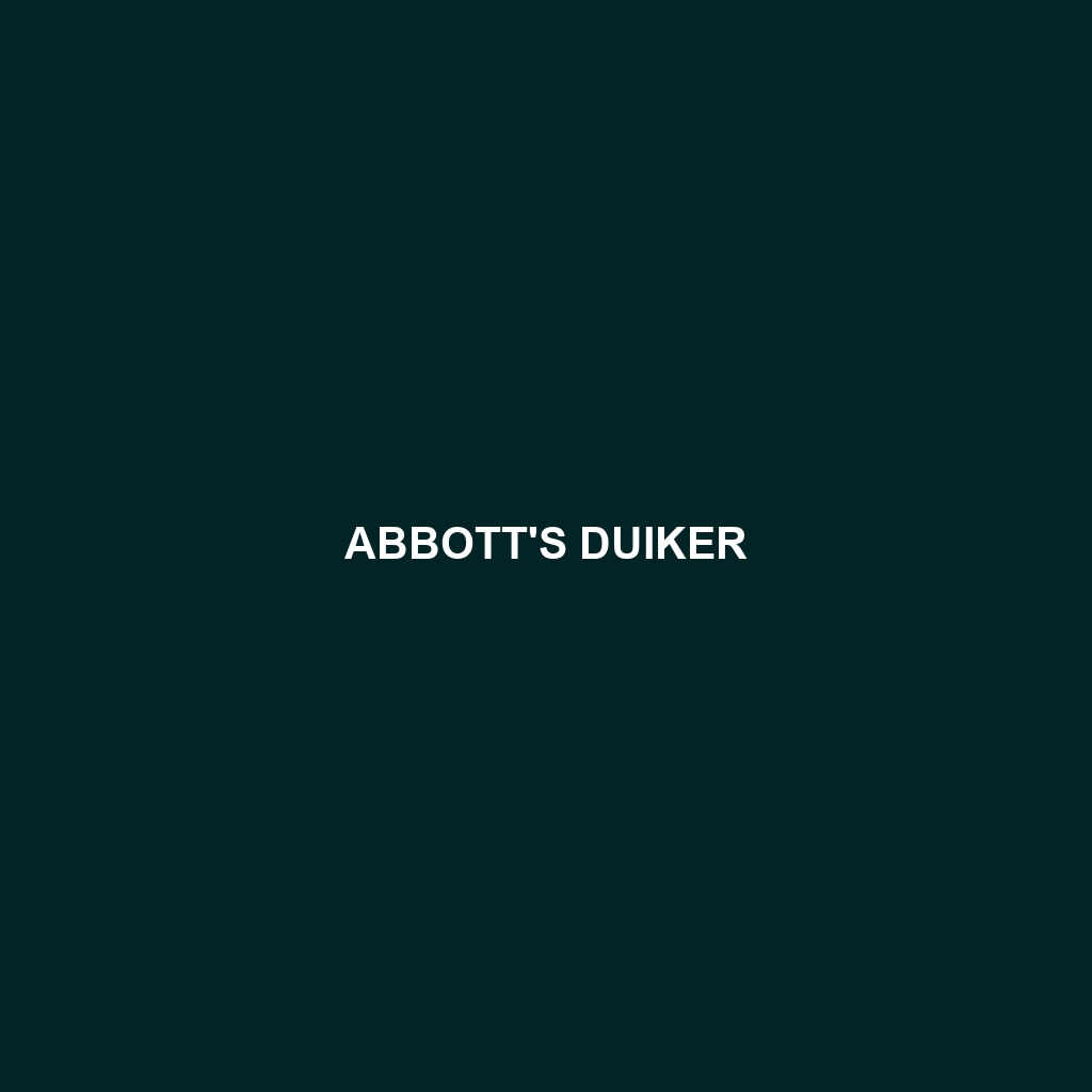 Abbott's Duiker