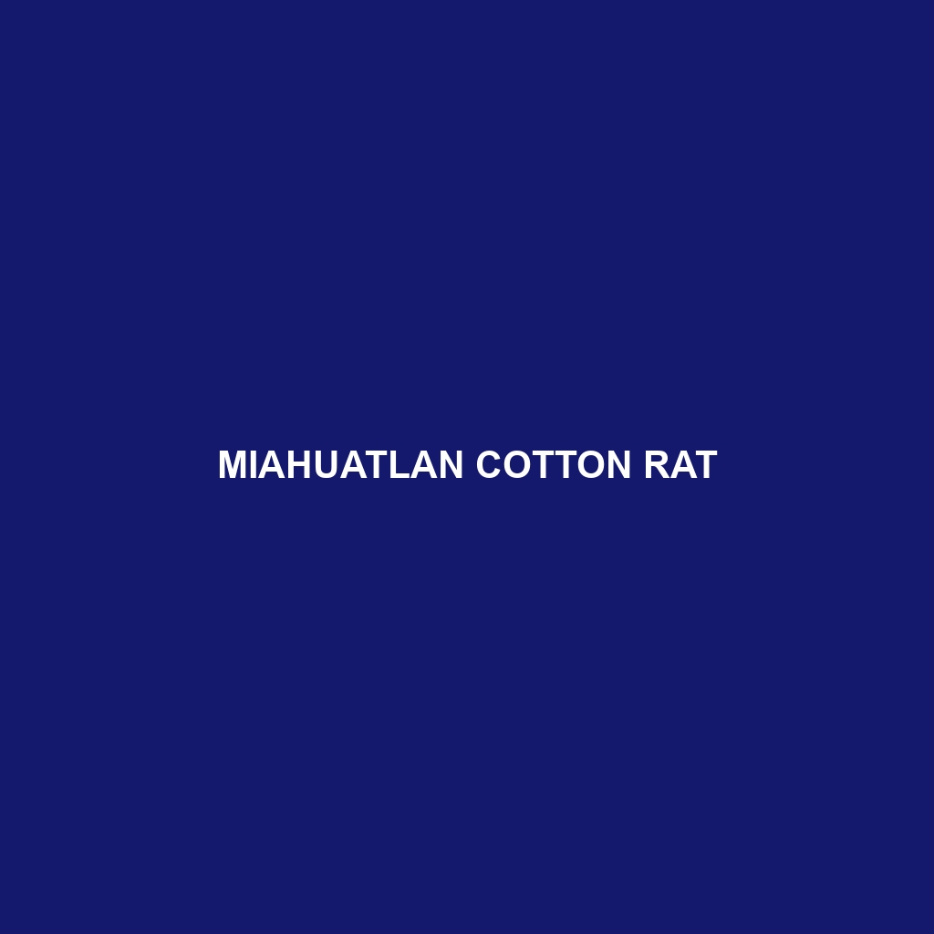 Miahuatlan Cotton Rat