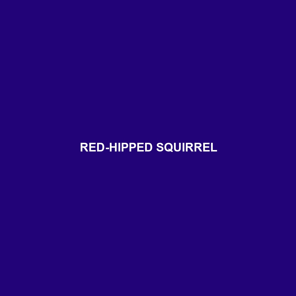 Red-hipped Squirrel