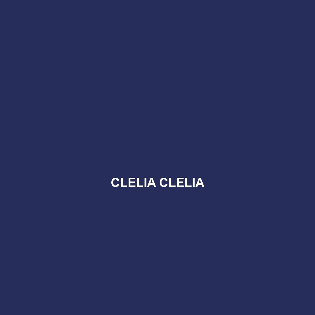 Clelia clelia