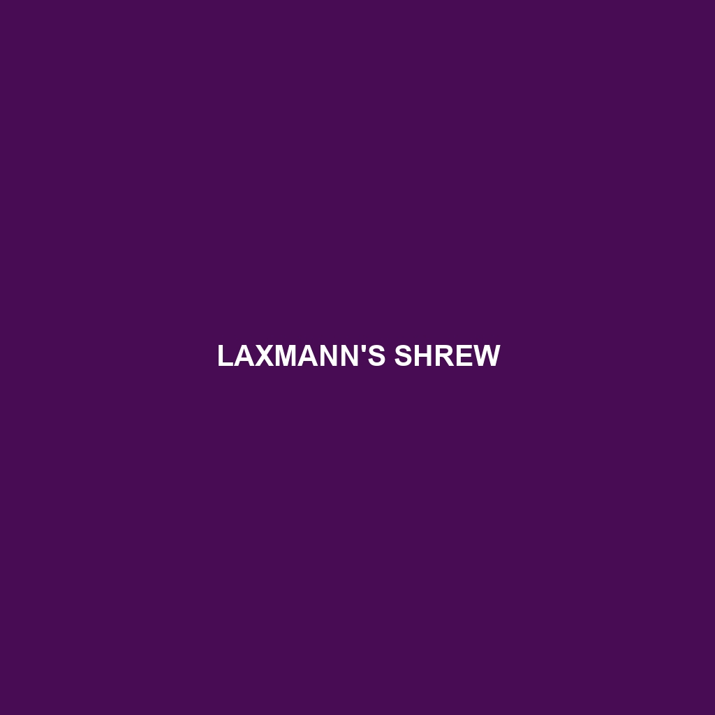 Laxmann's Shrew