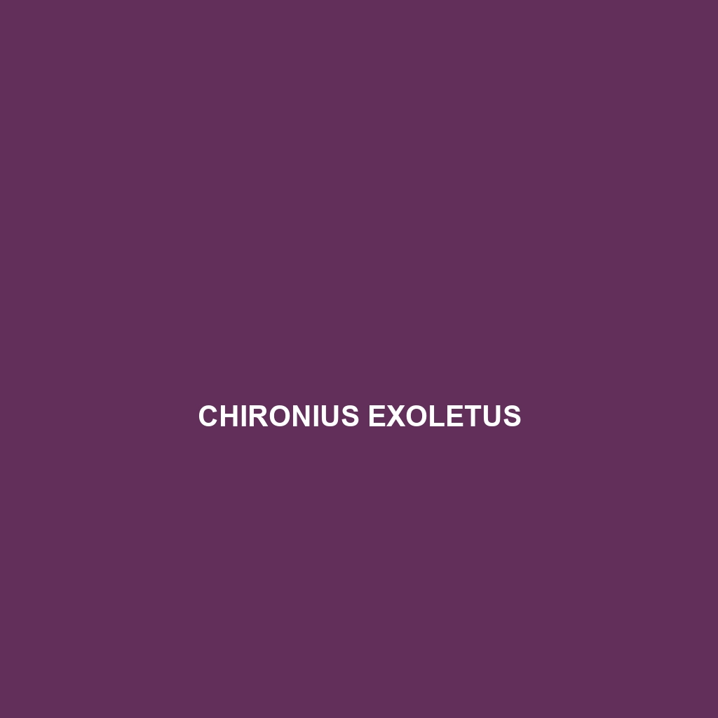 Chironius exoletus