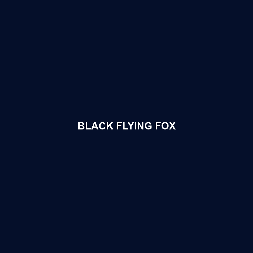 Black Flying Fox