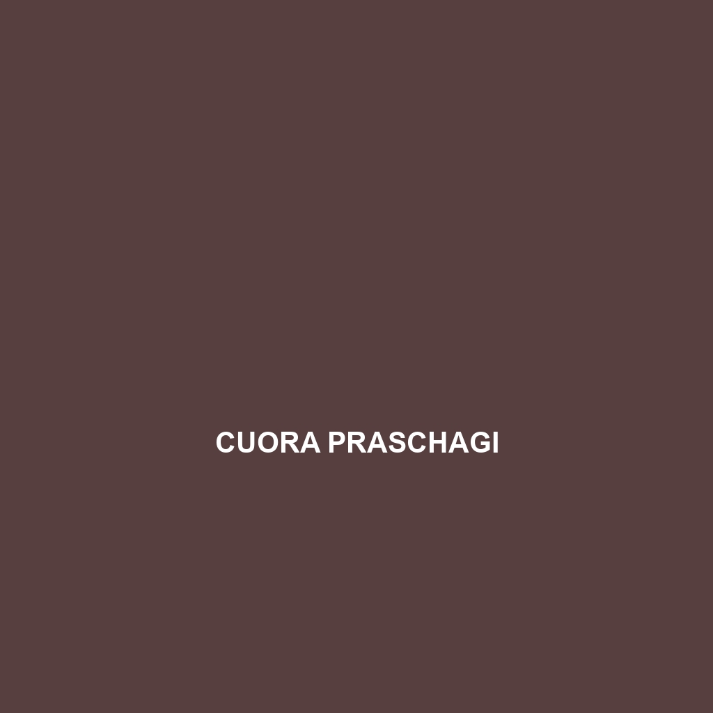 Cuora picturata