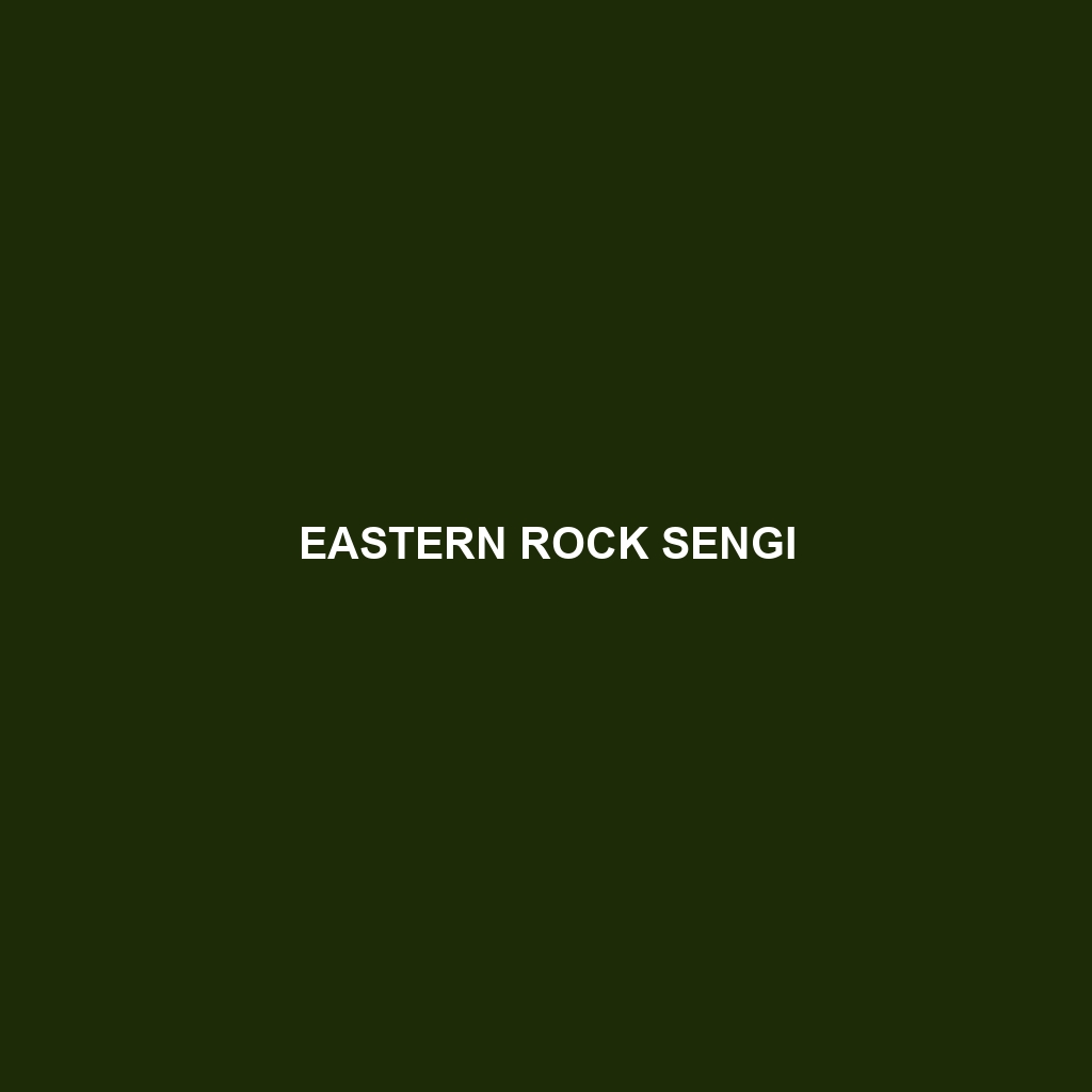 Eastern Rock Sengi