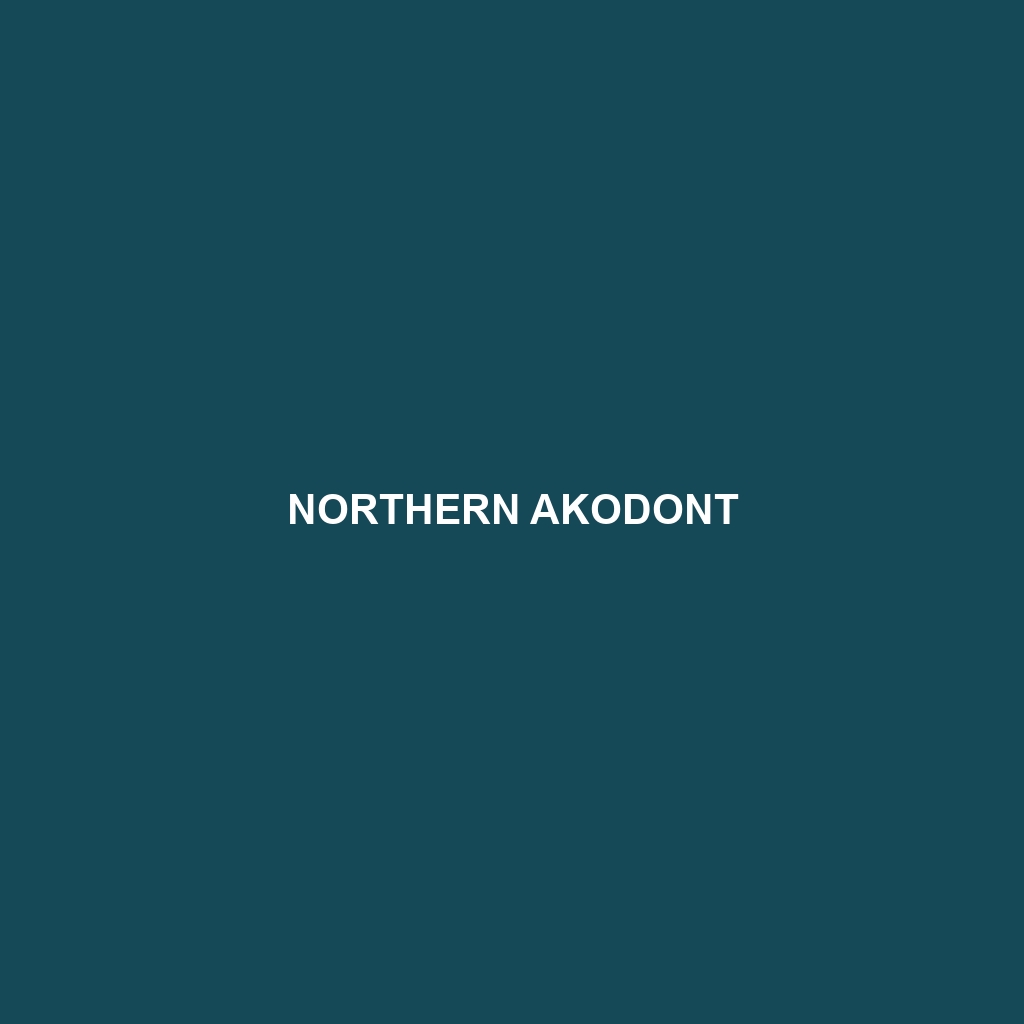 Northern Akodont