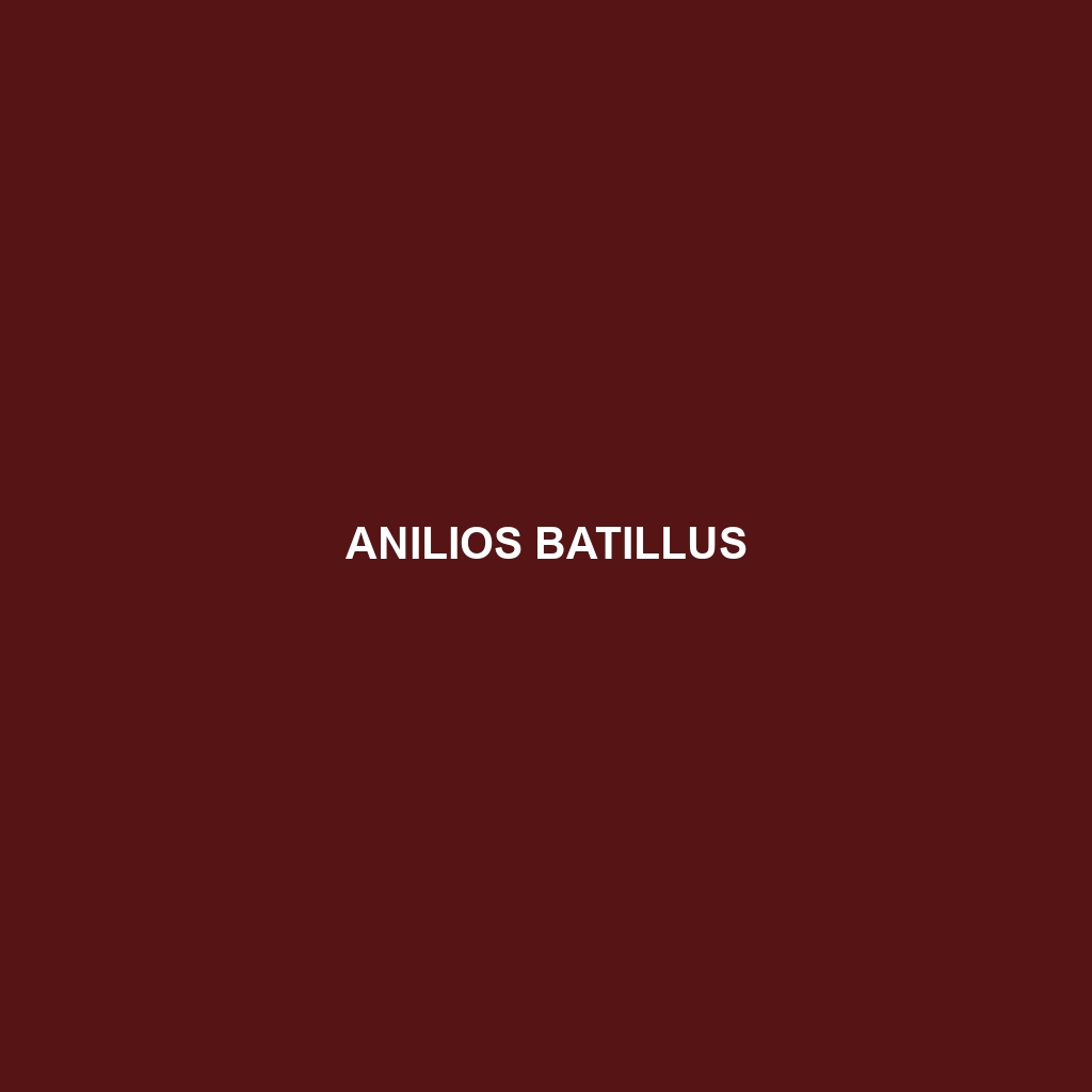 Anilios batillus