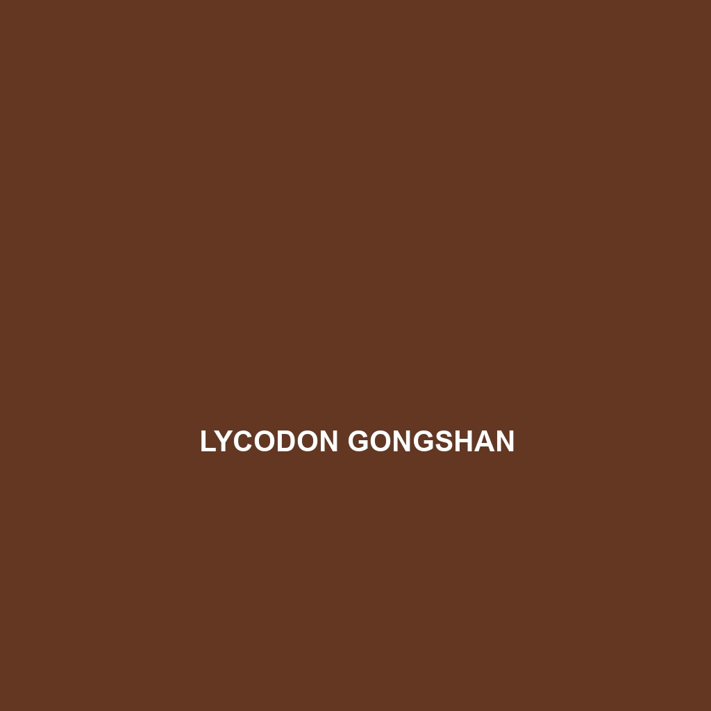 Lycodon gongshan