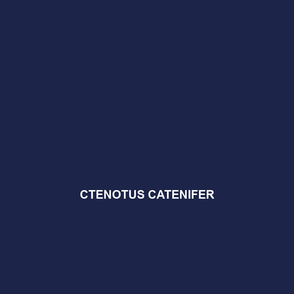 Ctenotus catenifer