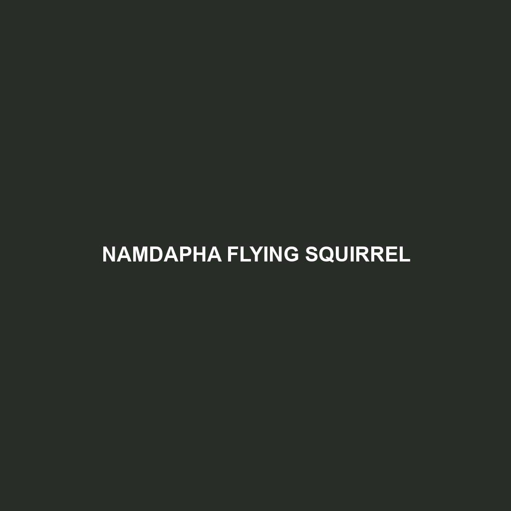 Namdapha Flying Squirrel