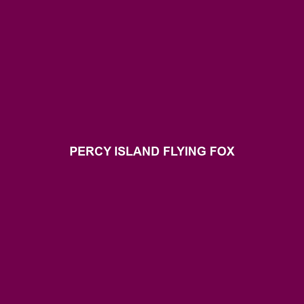 Percy Island Flying Fox