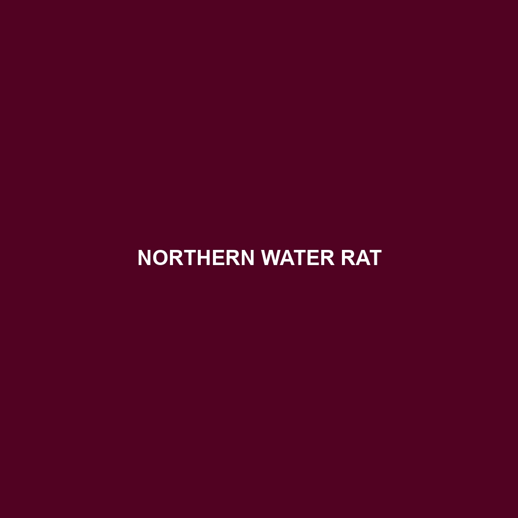 Northern Water Rat