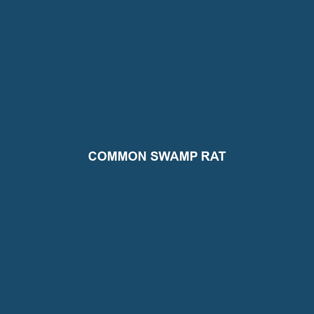 Common Swamp Rat