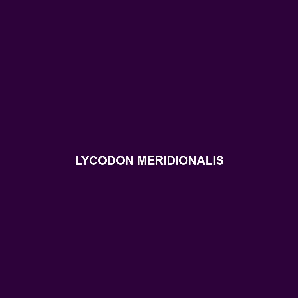 Lycodon meridionalis