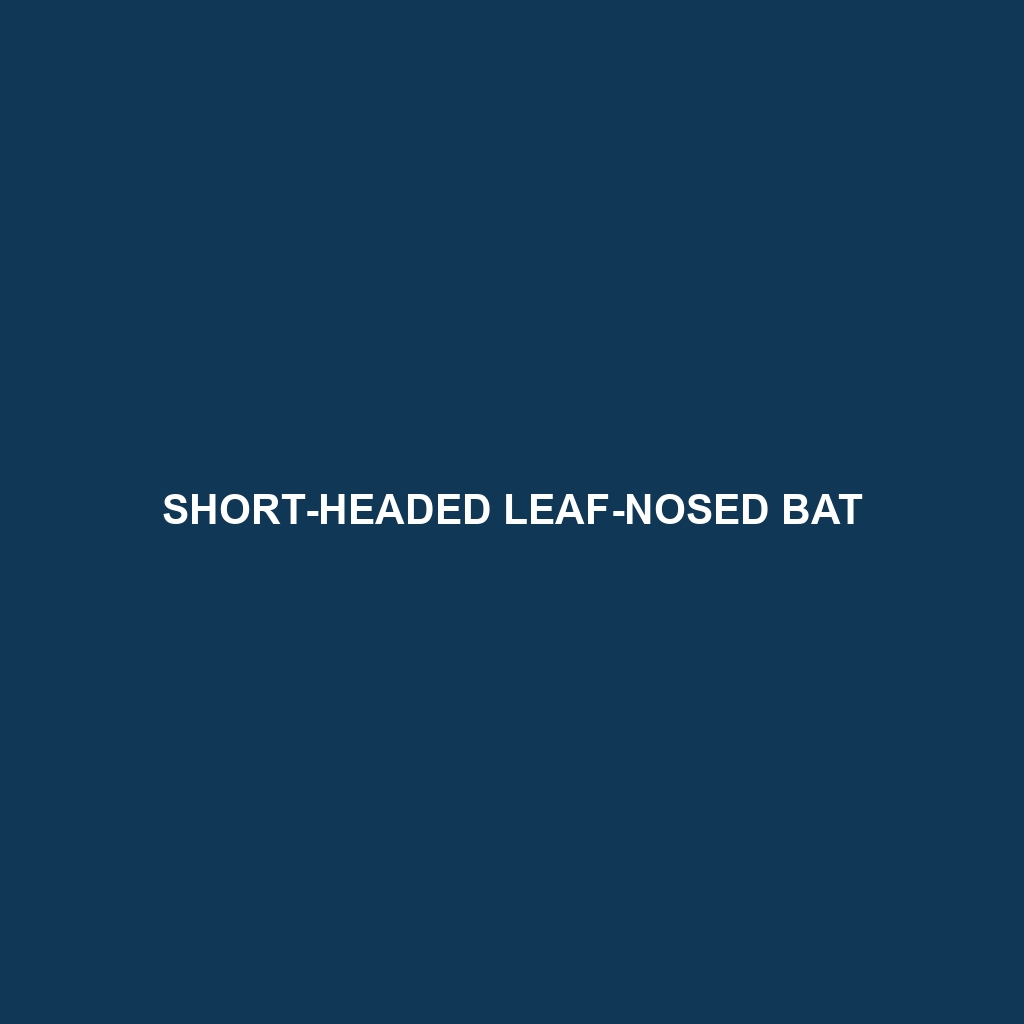 Short-headed Leaf-nosed Bat