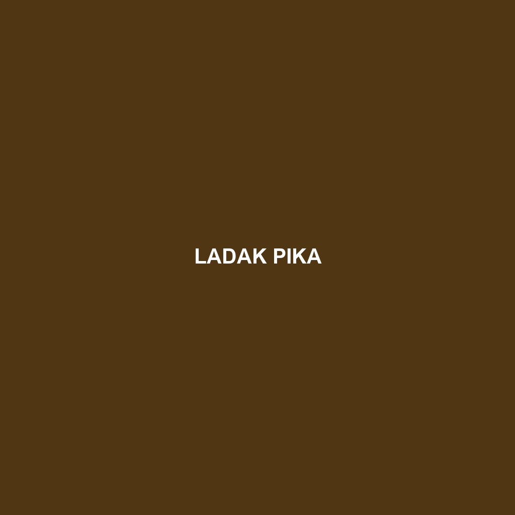 Ladak Pika