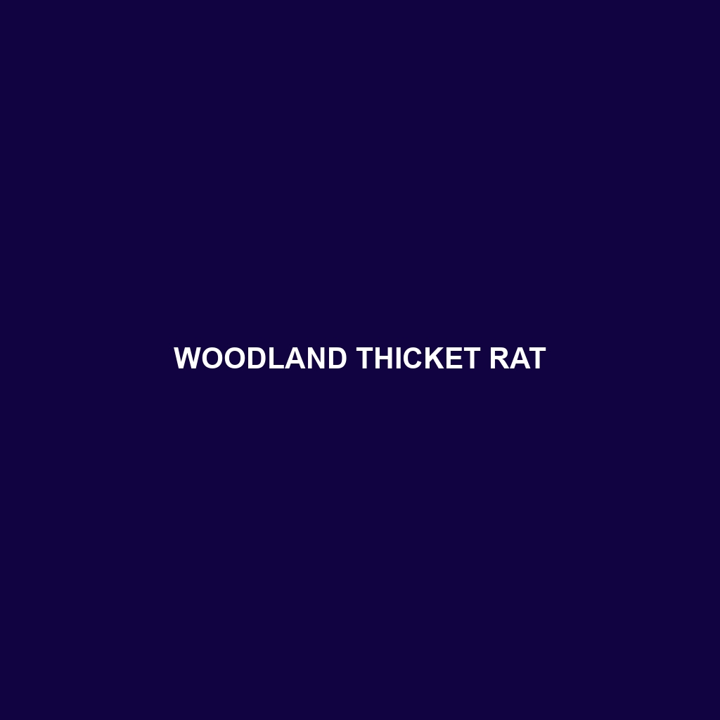 Woodland Thicket Rat