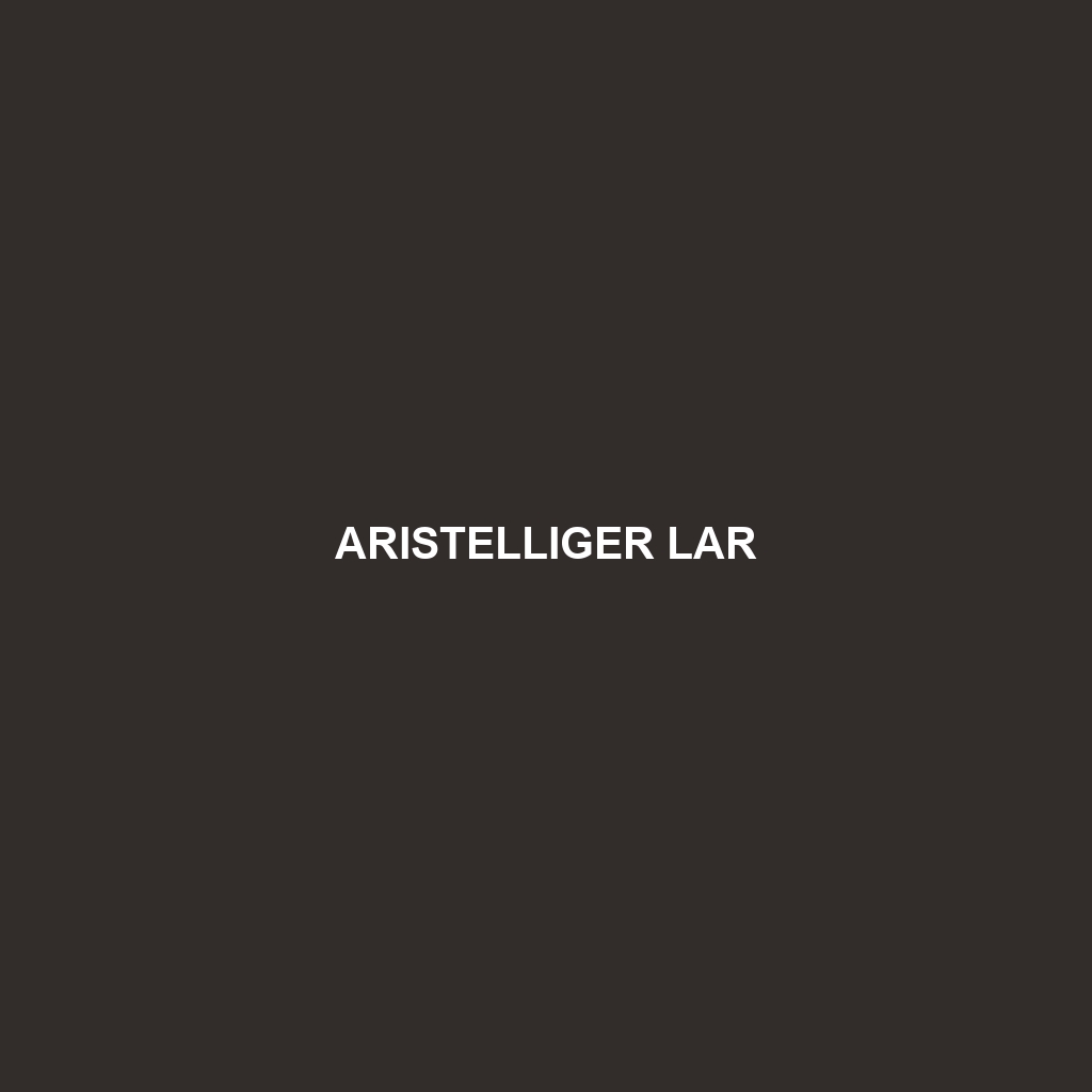 Aristelliger lar