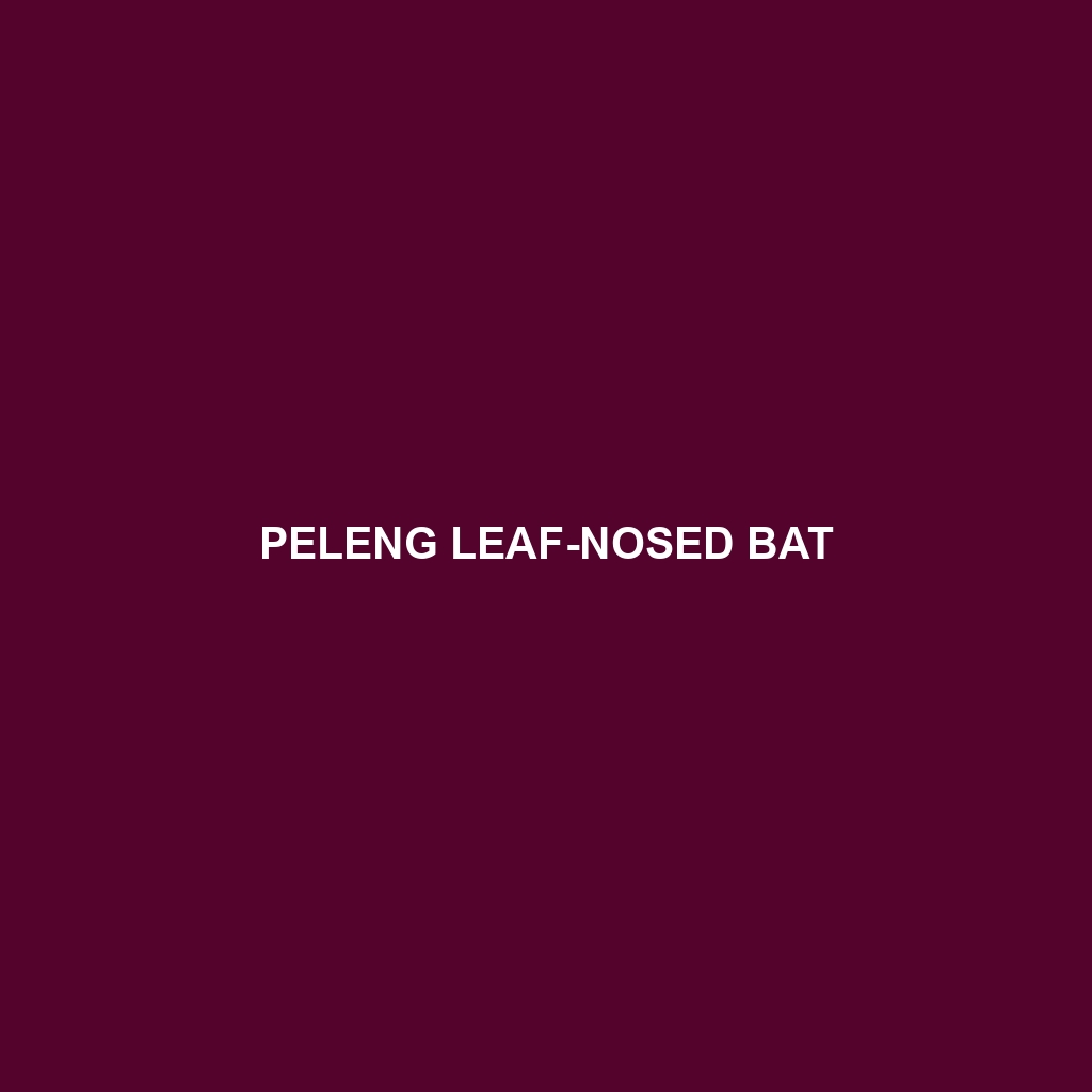 Peleng Leaf-nosed Bat