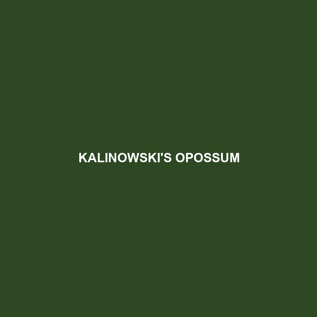 Kalinowski's Opossum