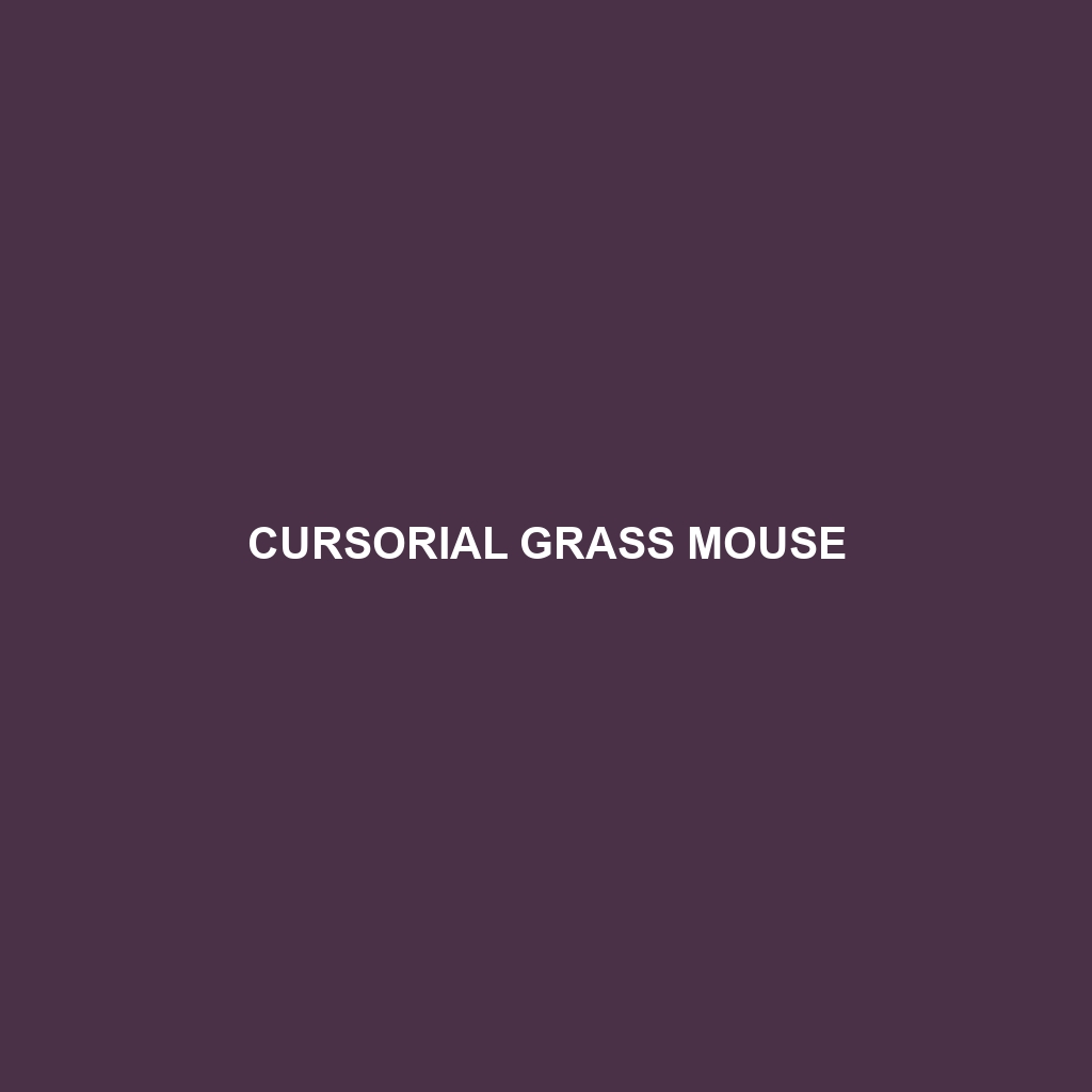 Cursorial Grass Mouse