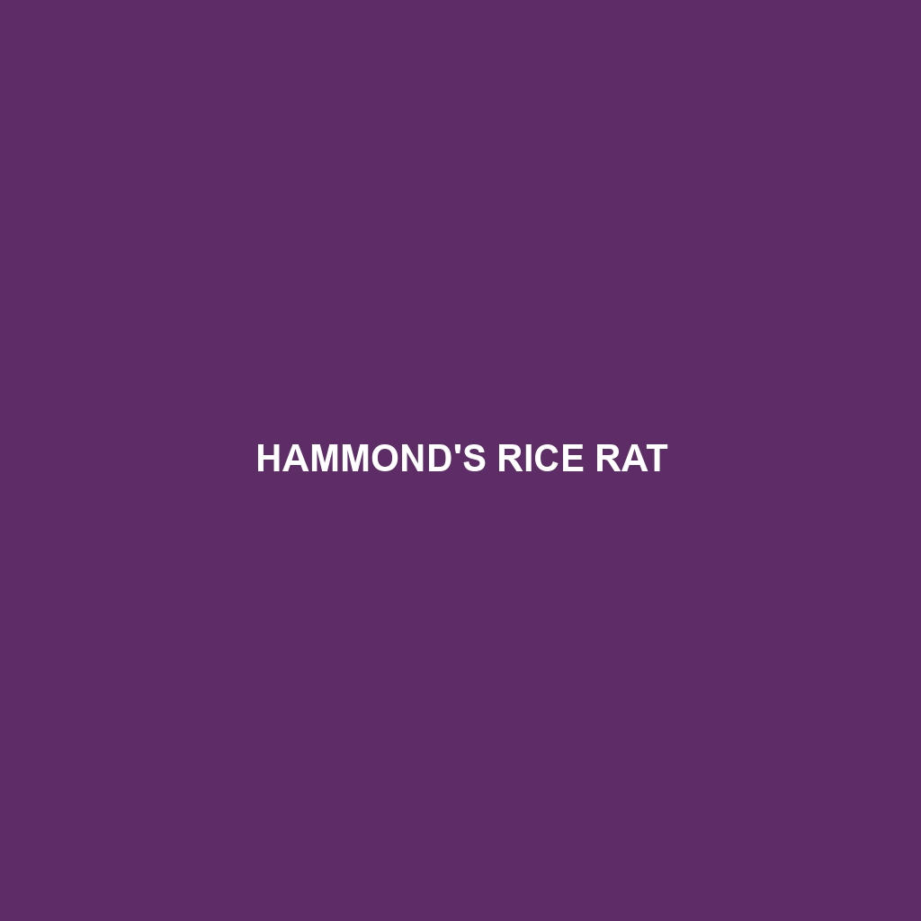 Hammond's Rice Rat