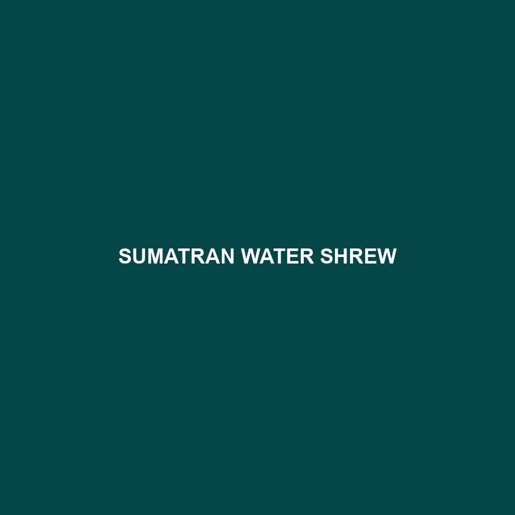 Sumatran Water Shrew