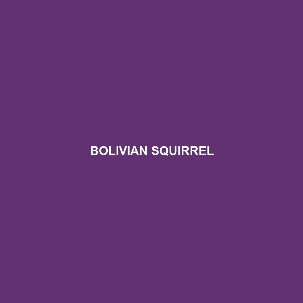 Bolivian Squirrel