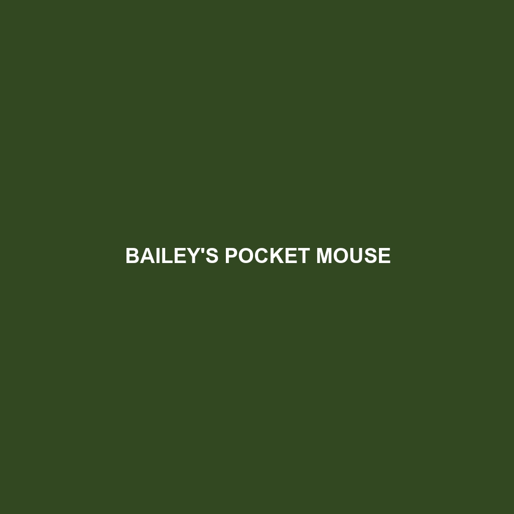 Bailey's Pocket Mouse