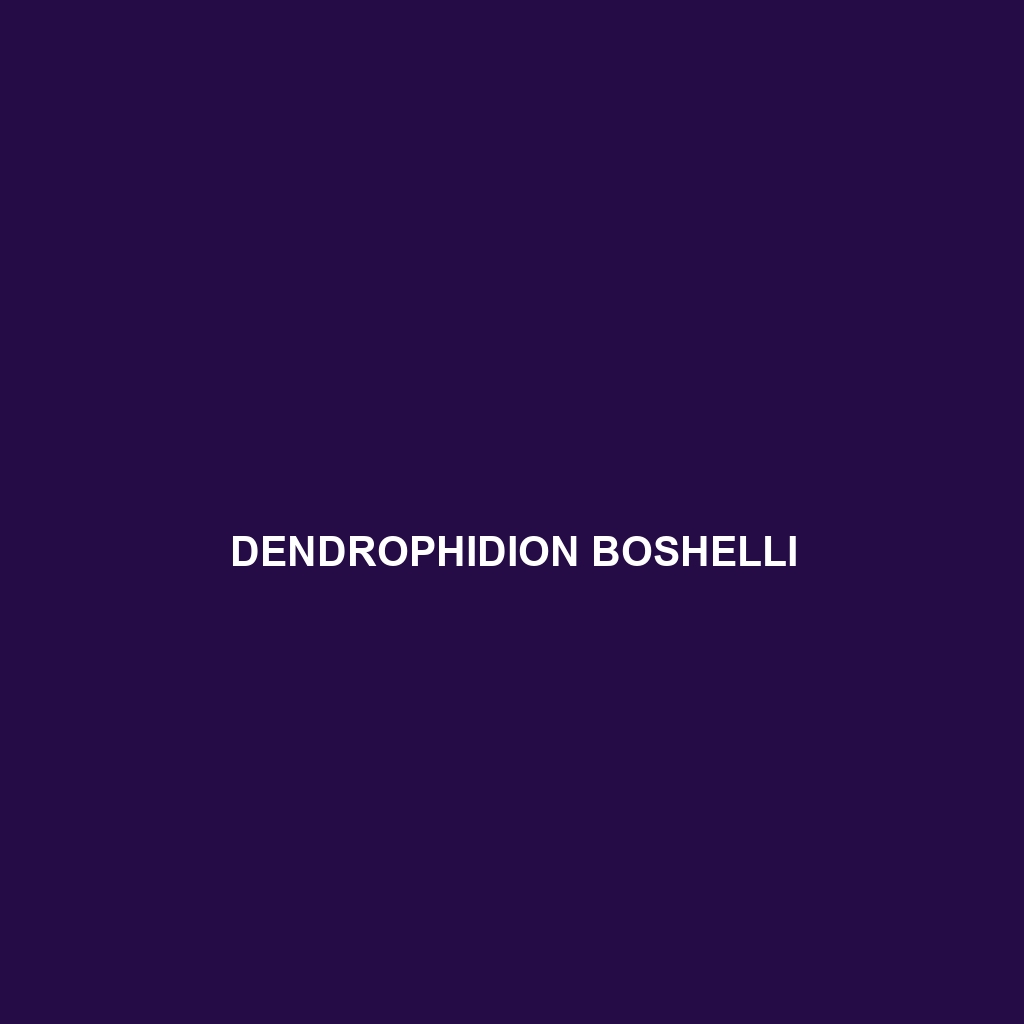 Dendrophidion boshelli