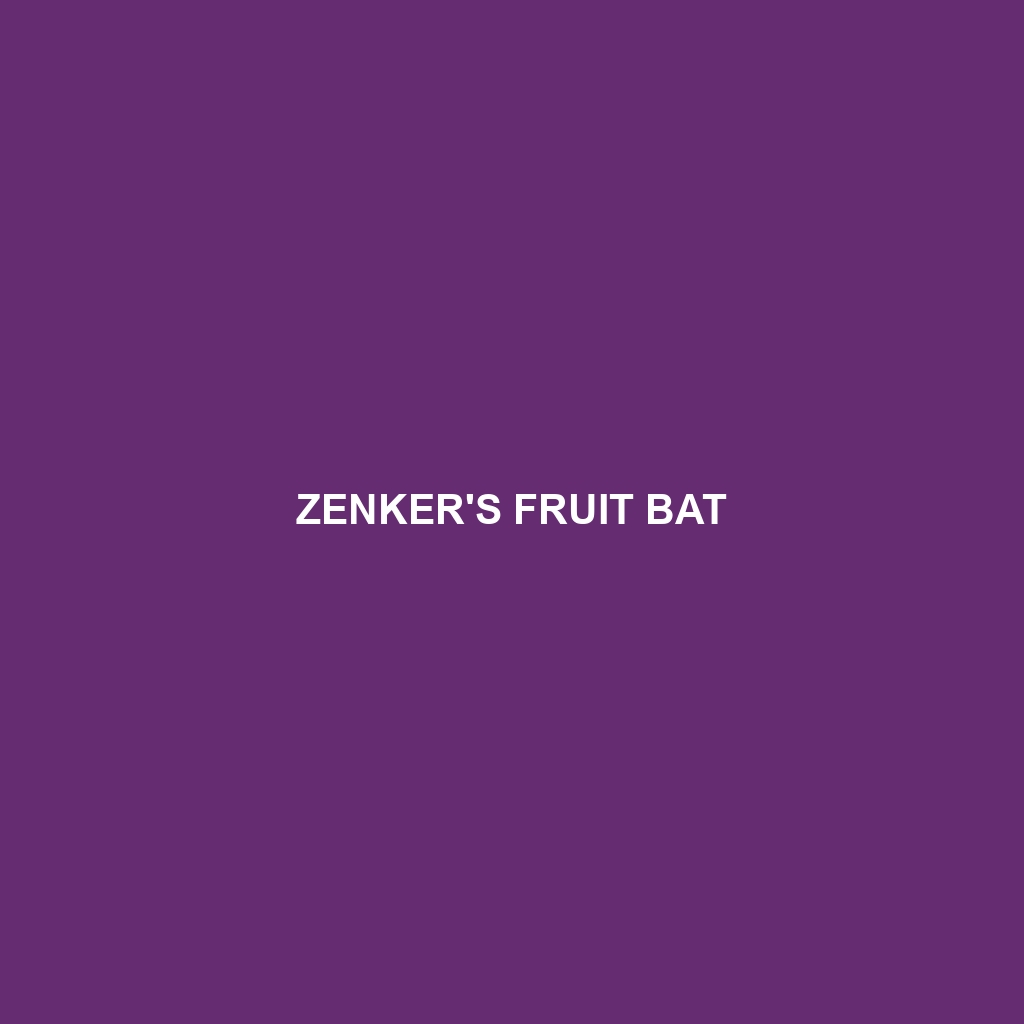 Zenker's Fruit Bat