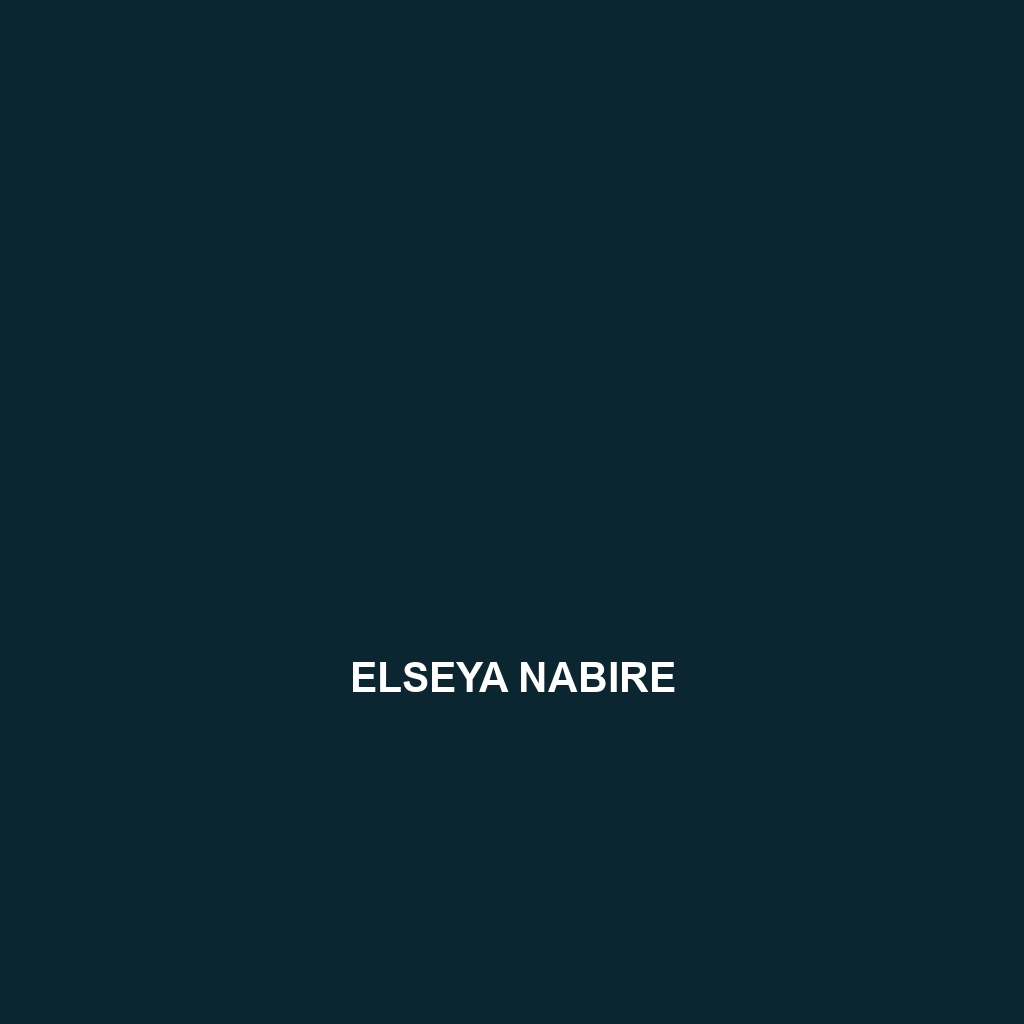 Elseya nabire