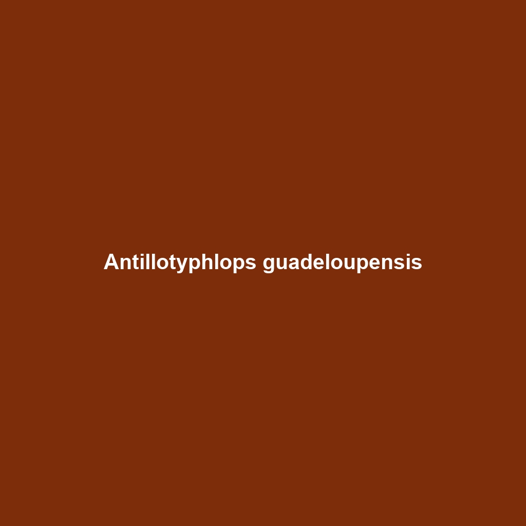 Antillotyphlops guadeloupensis