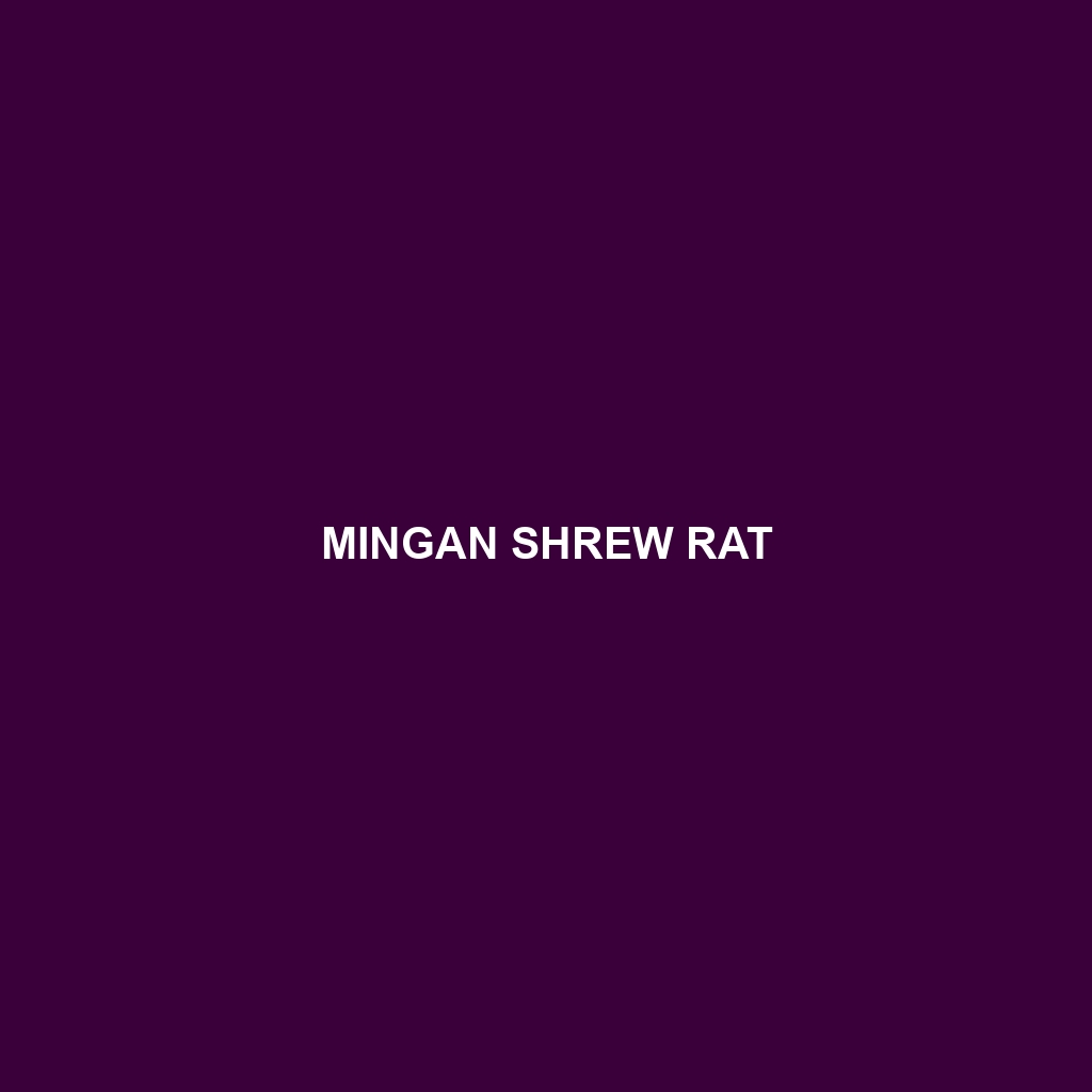 Mingan Shrew Rat