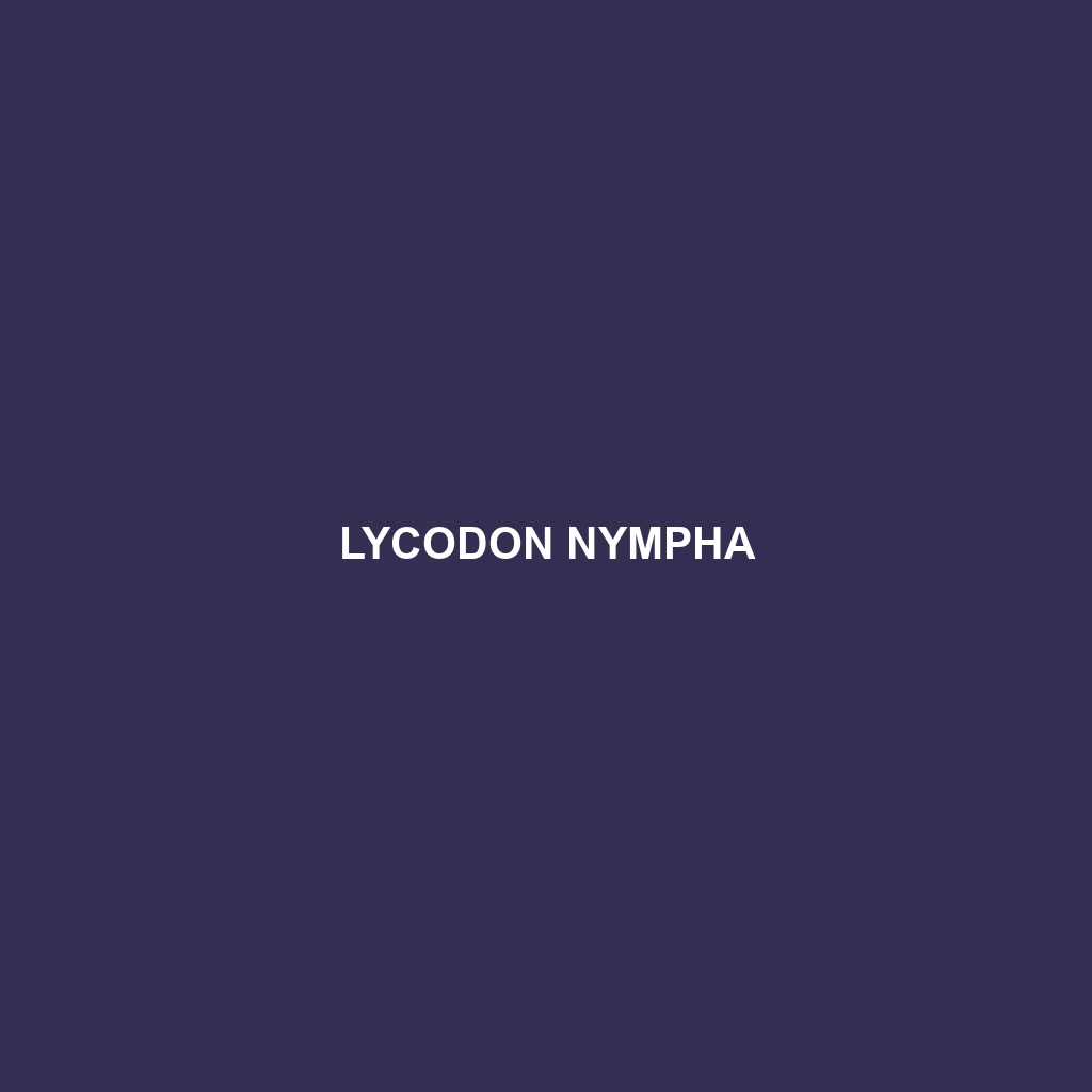 Lycodon nympha