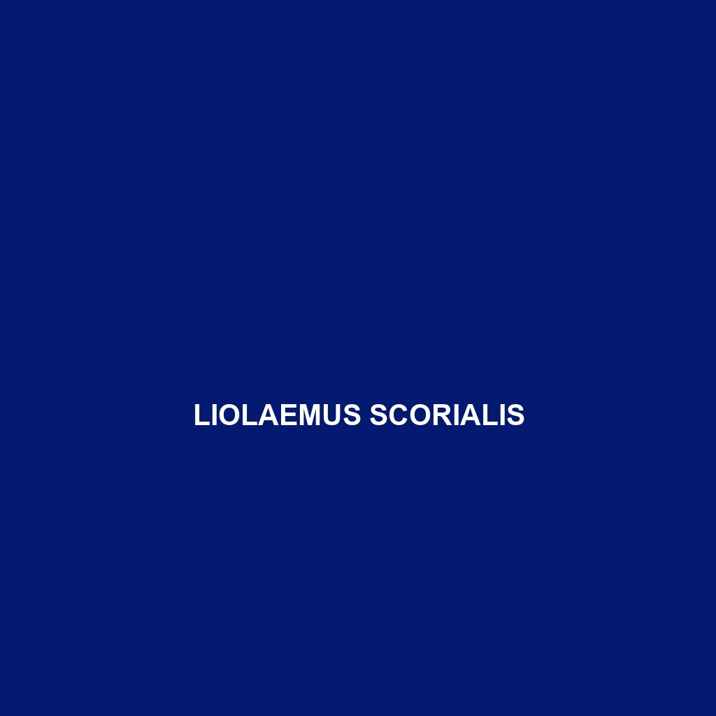 Liolaemus scorialis