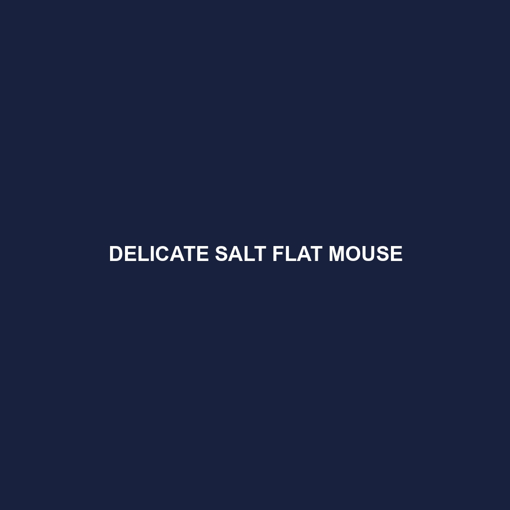 Delicate Salt Flat Mouse