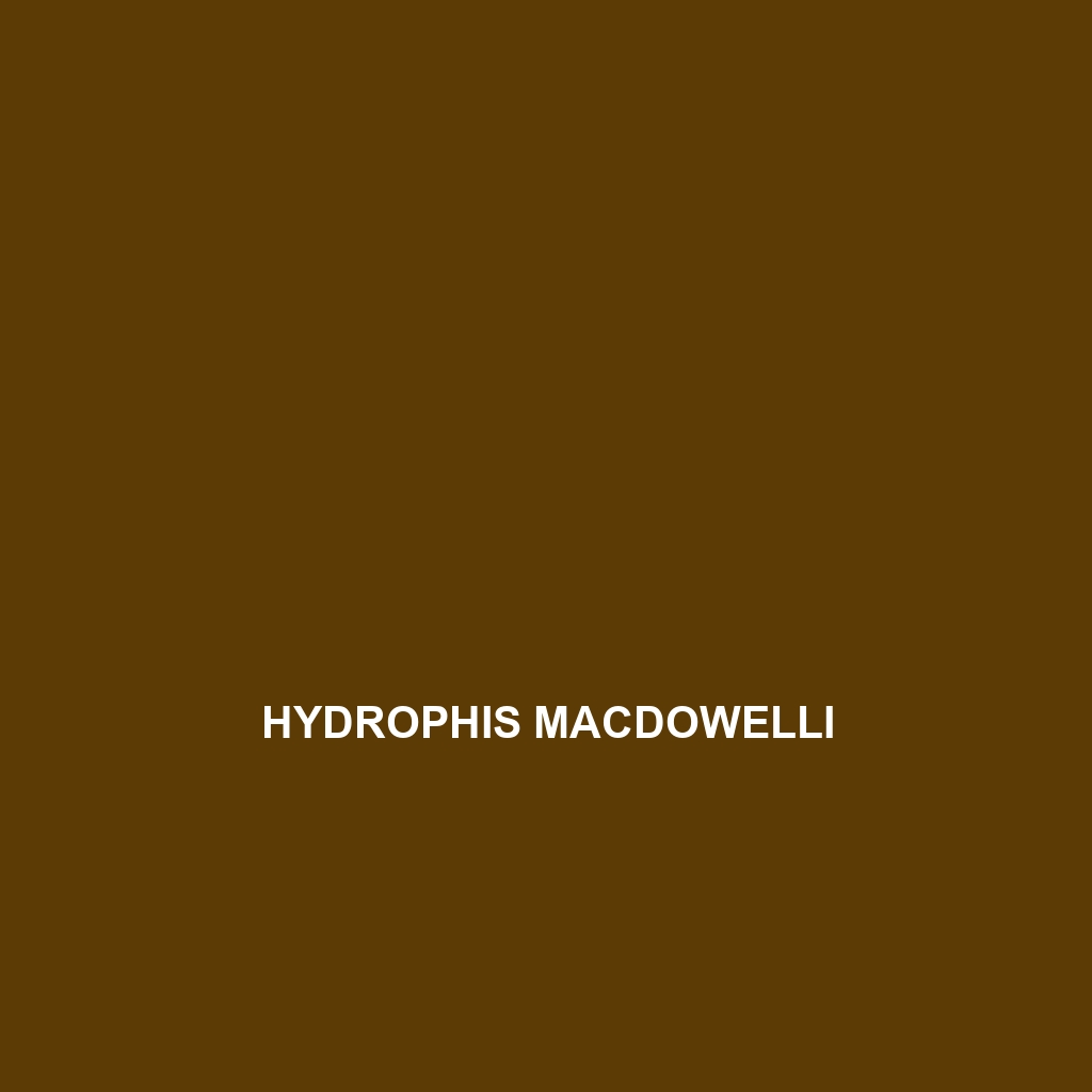 Hydrophis macdowelli