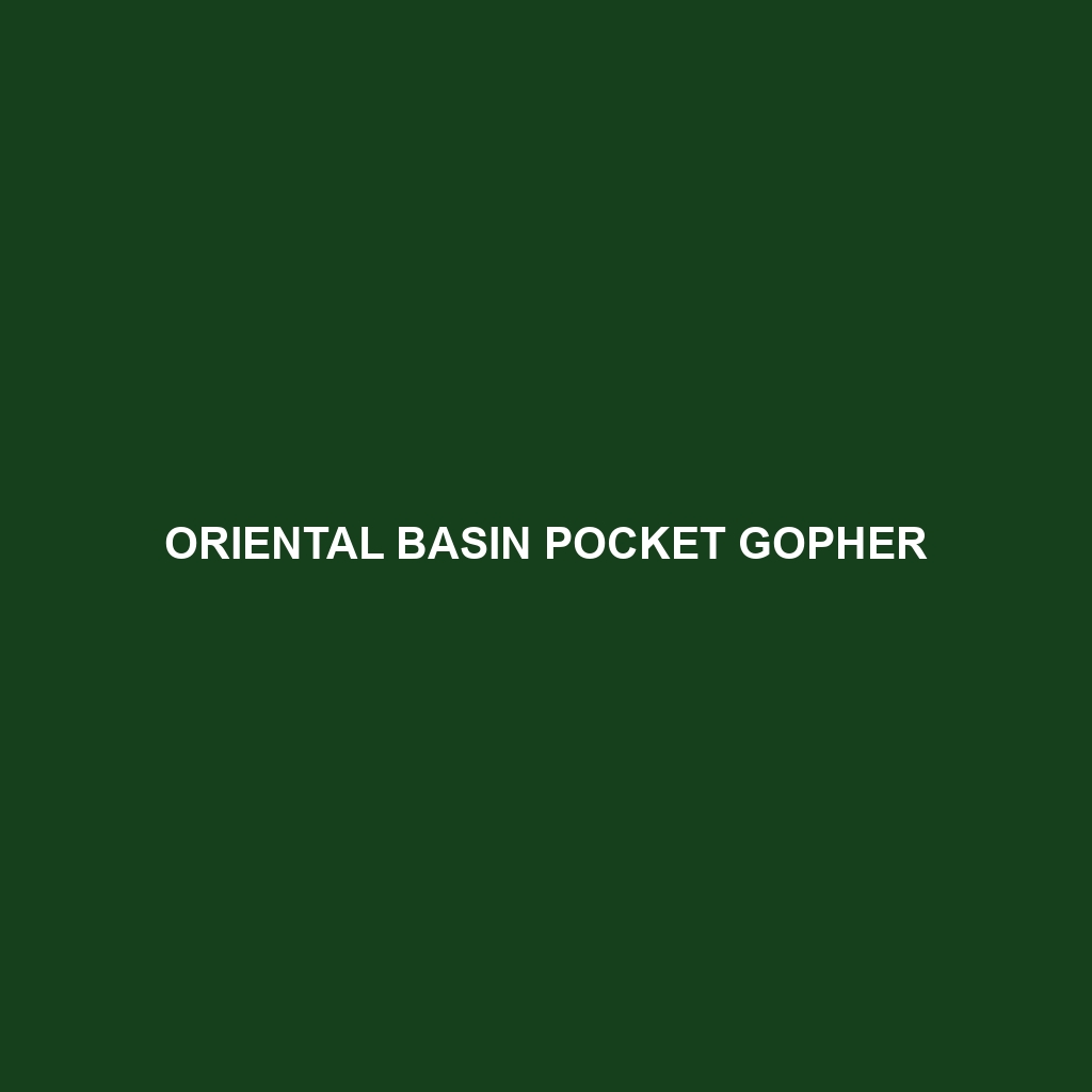 Oriental Basin Pocket Gopher