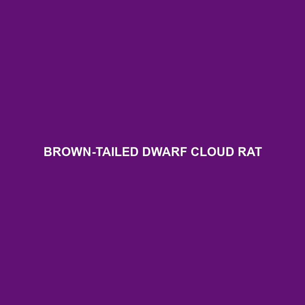 Brown-tailed Dwarf Cloud Rat